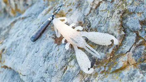 Reins Ring Craw Micro 1.5'' - Image 2